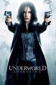 Underworld Awakening สงครามโค่นพันธุ์อสูร กำเนิดใหม่ราชินีแวมไพร์ ภาค 4 (2012) ดูหนังออนไลน์FullHDฟรี