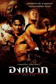 Ong Bak 1 องค์บาก 1 (2003) ดูหนังออนไลน์สนุกเต็มเรื่องฟรี