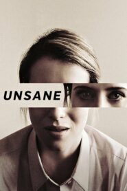 Unsane อันเซน เธอบ้าหรือไม่บ้า (2018) หนังเต็มเรื่อง Full HD