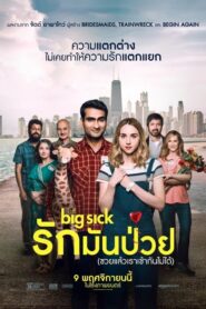 The Big Sick (2017) รักมันป่วย (ซวยแล้วเราเข้ากันไม่ได้) ดูฟรี