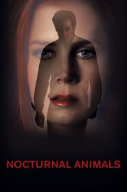 Nocturnal Animals คืนทมิฬ (2016) ดูหนังออนไลน์เต็มเรื่อง