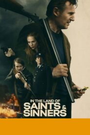 In the Land of Saints and Sinners (2023) กวาดล้างความบาป